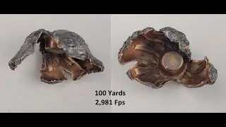 (300 WM) Norma 180gr BondStrike Expansion Test