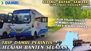 JALUR MENEMBUS HUTAN BANTEN🤯TRIP BANTEN SELATAN NAIK BUS DAMRI PERINTIS SERANG - SAWARNA‼️