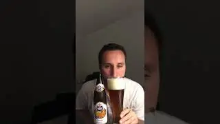 Ivan Brew Review Schneider Weisse Original Tap 7