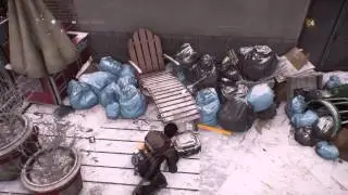 The Division