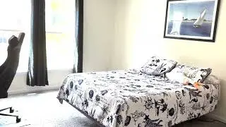 361 Harper Dr Orange VA 22960