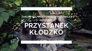 Zakupy [5] - hurtownia papiernicza Kłodzko :)
