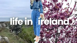 Gloomy Spring Days in Ireland 🌧 | Cherry Blossoms, Cozy Caf&eacute;s, Shopping & Cliff Walks