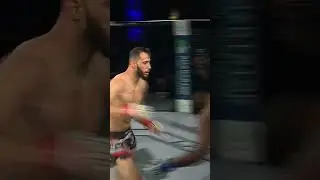 OUT LIKE A LIGHT! *Huge KO* LFA Fights