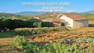 Asclepios Wellness & Healing Retreat - Costa Rica
