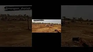 Mangaon Bailgada Sharyat 😍❤️#shorts #viral #video