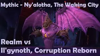 Realm vs Mythic Il'gynoth, Corruption Reborn - Holy Paladin PoV