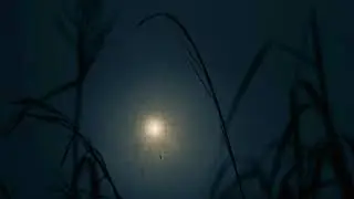 Seasons of the Witch: Sacred Space and the Ancestral Altar