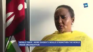 WORLD TRADE : MORE DIVERSITY WOULD STRENGTHEN THE WORLD TRADE ORGANIZATION