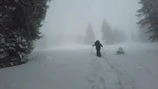 Gallo cedrone e Monte Polnik in Austria 2025