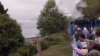 Oregon Coast Scenic Railroad Steam Special Highballing Through The Coastal Woodland Wilderness 