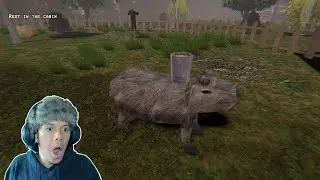AKU SEORANG PETERNAK AYAM, NAMUN HAL ANEH TERJADI...