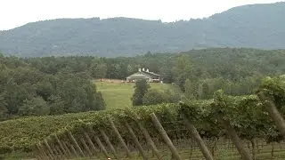 Jones von Drehle Winery | NC Weekend | UNC-TV
