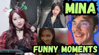 Mina The Penguin Is UNINTENTIONALLY HILARIOUS !!!! (MINA Funny Moments Reaction)