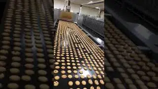 SINOBAKE Butter Cookies Production Line.