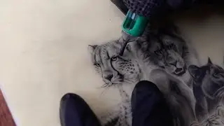 Tattoo tutorial (cheetah 🐆 779.tattoo) 서울타투 seoultattoo 동물타투 animaltattoo