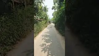 শাজালের মহিসের গাড়ি গ্রাম বাউন্ডারী #শার্শা #যশোর #shtags #