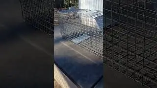 Just Traps Part 1