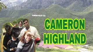 CAMERON VALLEY TEA PLANTATION-BHARAT TEA/BEST TEA DESTINATION IN MALAYSIA