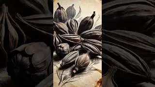Black Cardamom: The Smoky Jewel of the Himalayas