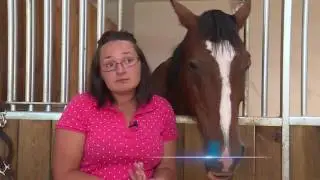 Prijateljstvo za cijeli život