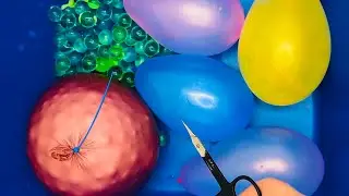 😱🥳#asmr #relaxing #oddlysatisfying #surprise #relax #antistress #viral #trend💦💣