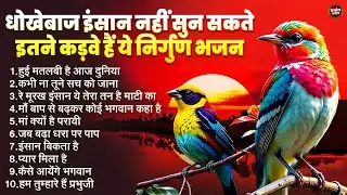 धोखेबाज इंसान नहीं सुन सकते इतने कड़वे हैं ये निर्गुण भजन - mp3 Audio Jukebox Nirgun Bhajan