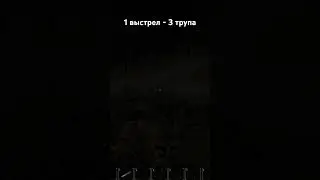 Встретил пикап с веселой компанией.#scum