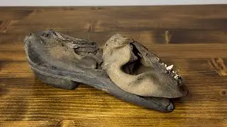 WW2 German Fallschirmj&auml;ger Boot Remains Battle of the Bulge Relic