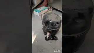 Deep fridge compressor change