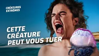 Ne touchez pas cette gal&egrave;re portugaise !