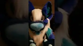 FURRSYMPHONY ADORABLE? CLICK TO FIND OUT! - MoreFurLess Fursuit Fullsuit Fursuiting Furry Tiktok MFL