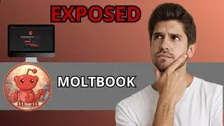 Moltbook.com Exposed &mdash; New AI Platform or Dangerous Scam?