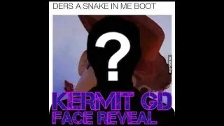 GD Kermit: IRL Face Reveal