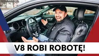 Ford Mustang V8 - zakochasz się od pierwszego odpalenia! Jaka cena 