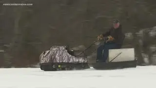 Snowdogs gain popularity among Mainers
