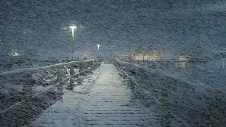 The BEST Sleep Hack: Snowstorm for Relaxation | white noise, howling wind, falling snow, snowflakes