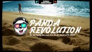 [NonCopyrightedMusic] 1 HOUR ELECTRO/HOUSE MIX - REVOLUTION #2 - Guest: Meizong