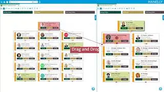 Nakisa Hanelly Organizational Design Solution