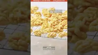 G-WINSUN Brand Promotion Video.