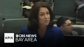 Nancy Pelosi&rsquo;s daughter announces run for California State Senate seat