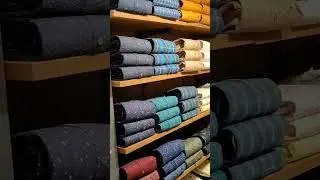 Turtle counter display #turtle #shorts #trendingshorts