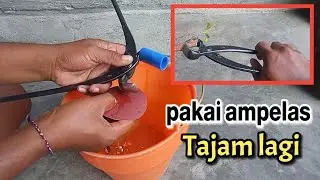 cara mengasah tang krekut atau catok cembung bonsai