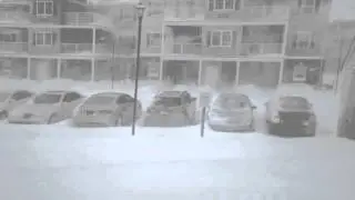 Blizzard of 2016 - Edgemoor, DE - 10:00am