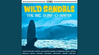 Surfin the Waves