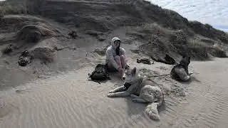 Southern OR Coast Dog Hike to Empty, Windy Beach (GoPro 11 Mini)
