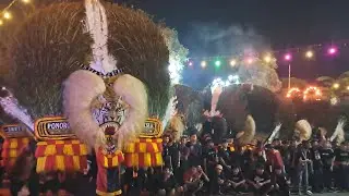 BIKIN MERINDING.!! DUEL GANAS PULUHAN REOG TERBESAR DI DUNIA GEMPARKAN SAWOO