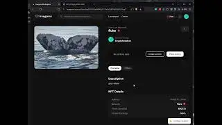 truegems.io #3 PLACE LISTING - LEARN FLARE NETWORK