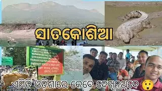  ଓଡ଼ିଶାର ଲୁଚିଥିବା 🌿ସ୍ୱର୍ଗ – ସାତକୋସିଆ ଟ୍ରାଭେଲ୍Vlog.😲।ଜଙ୍ଗଲ, ନଦୀ ଓ ପ୍ରକୃତିର ସତ୍ୟ ରୂପ 🌿।