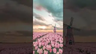 #beautiful#nice#video #automation #like #comment #share# subscribe # my bd short
